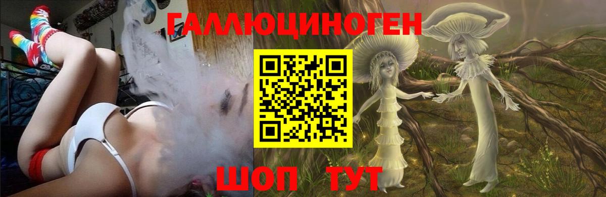 Галлюциногенные грибы Psilocybine cubensis Партизанск